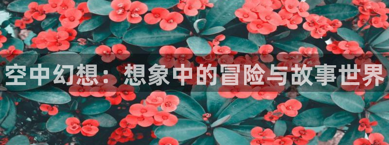 风车动漫(p)在线观看免费