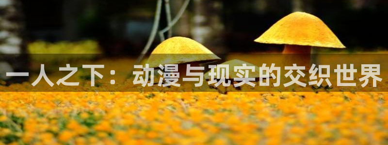 风车动漫：一人之下：动漫与现实的交织世界