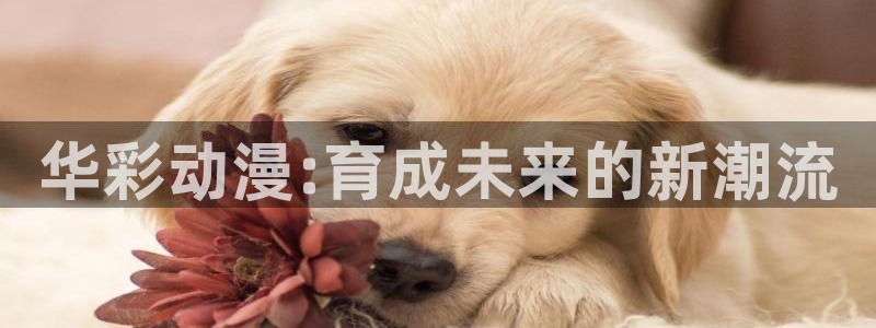 风车动漫网官网入口