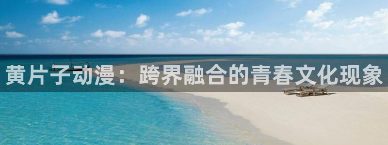 风车动漫530