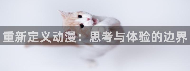 2026风车动漫
