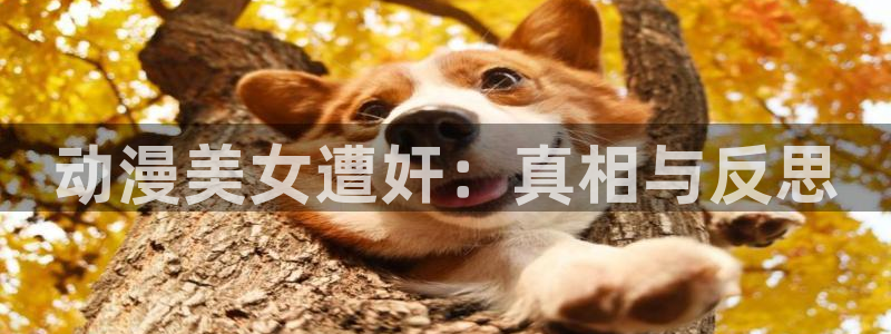 风车动漫肉番