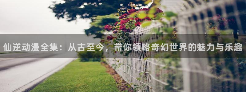 出包王女风车动漫