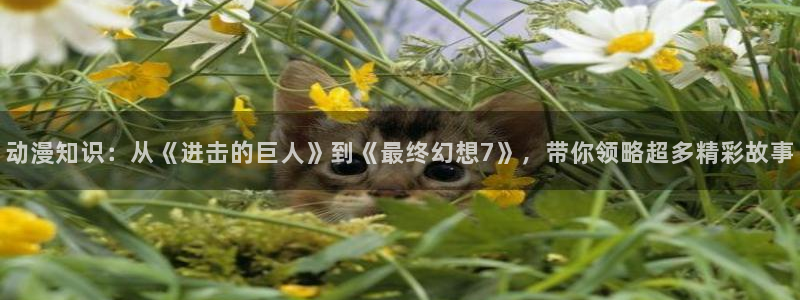 五等分的花嫁风车动漫