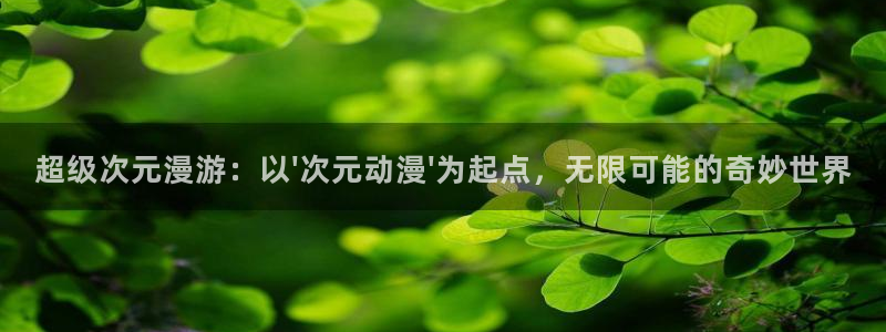 风车动漫(官网入口)