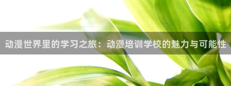 风车动漫专注动漫(p)