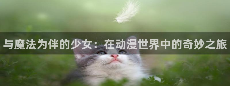 风车动漫动画官网