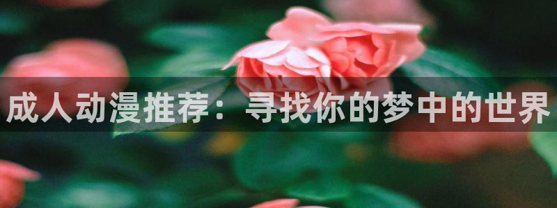风车动漫正版在线观看