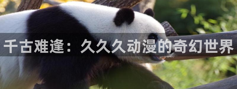 风车动漫王
