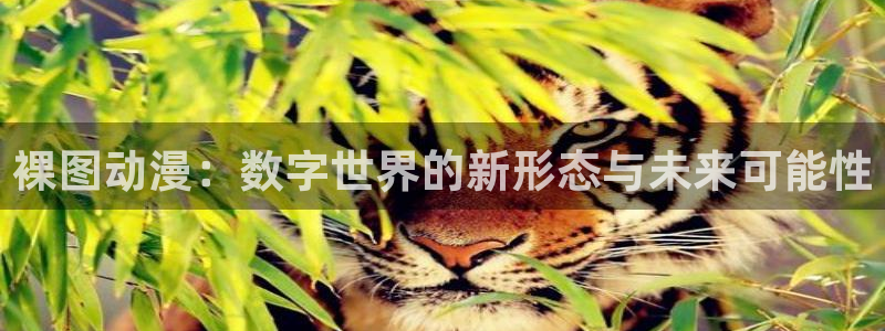 新风车动漫