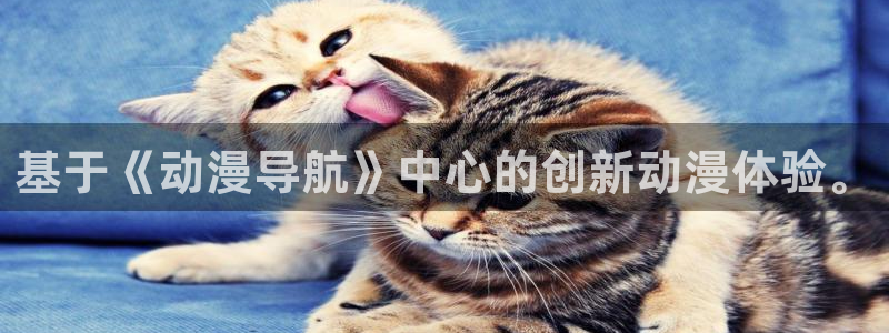 风车动漫官网在线入口