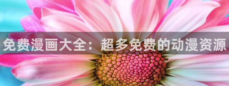 风车动漫免费观看