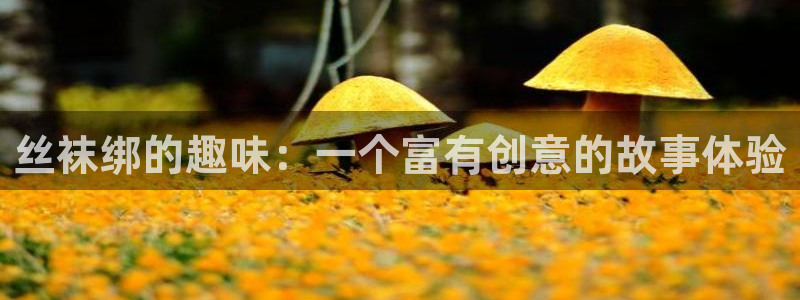 风车动漫网艳母
