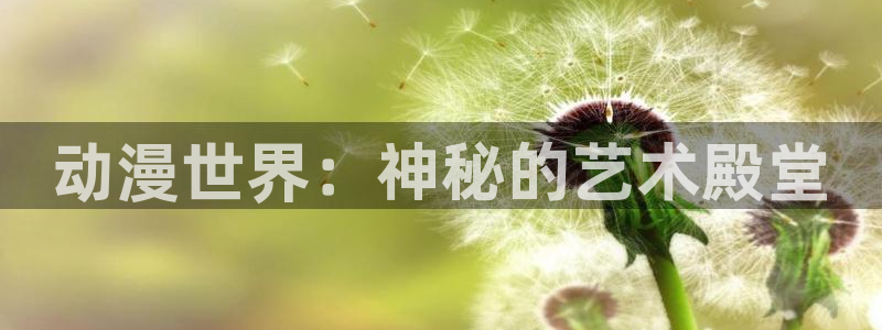 风车动漫在线全集播放