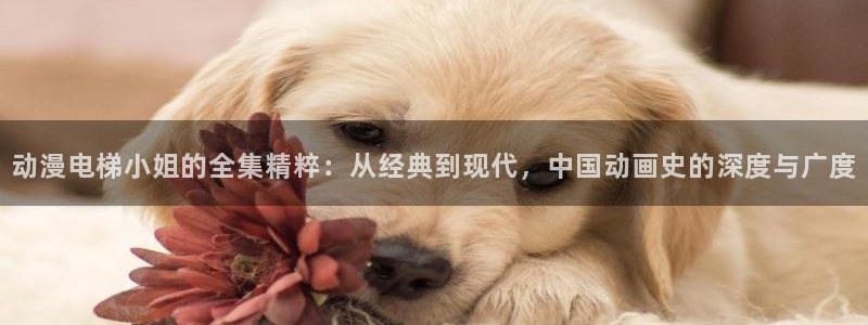 风车动漫海量资源