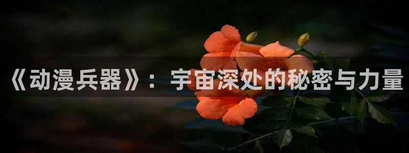 风车动漫在线观看完整版免费