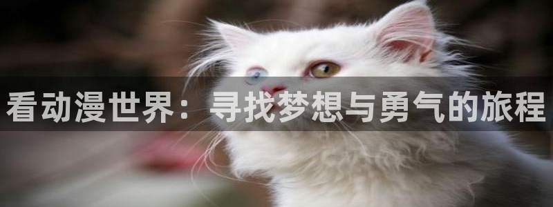 风车动漫日本动漫官网