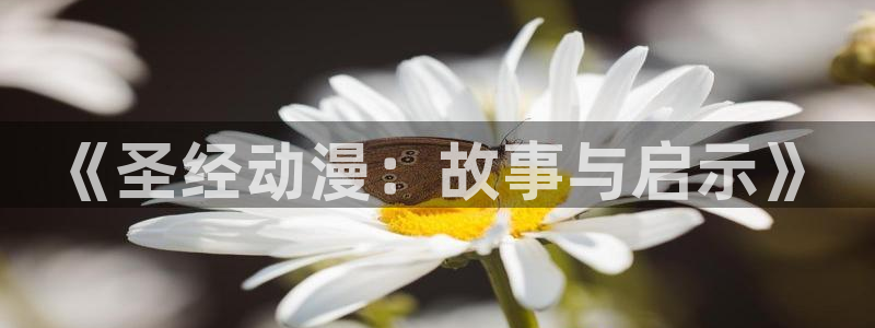 风车动漫软件：《圣经动漫：故事与启示》