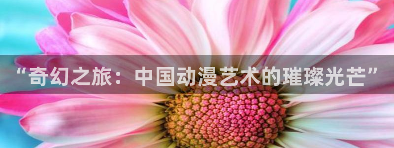 风车动漫正版官网入口：“奇幻之旅：中国动漫艺术的璀璨光芒”
