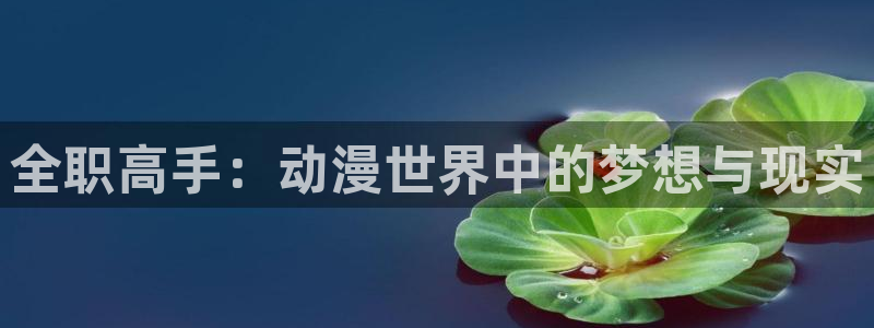 风车动漫在线播放免费：全职高手：动漫世界中的梦想与现实