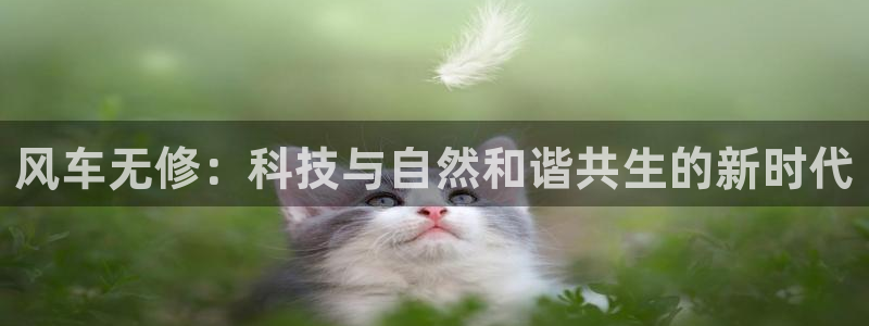 风车动漫p_高清：风车无修：科技与自然和谐共生的新时代