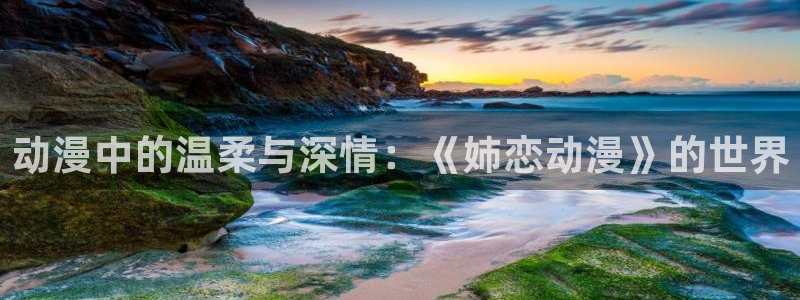 龙族风车动漫：动漫中的温柔与深情：《姉恋动漫》的世界