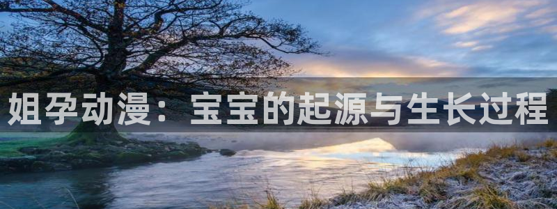 风车动漫在线观看动漫第8集：姐孕动漫：宝宝的起源与生长过程