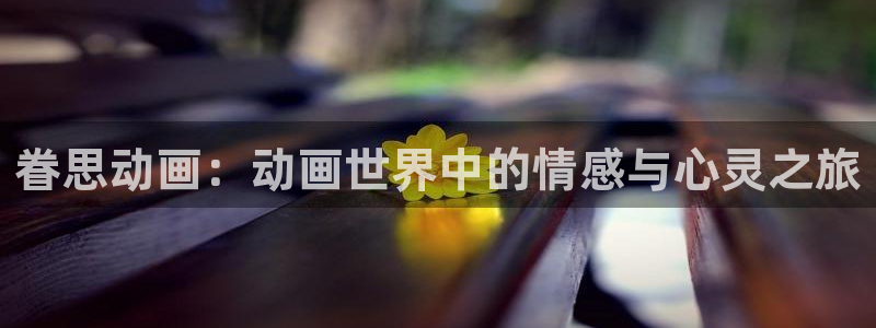 风车动漫dm530专注动漫的门户：眷思动画：动画世界中的情感与心灵之旅