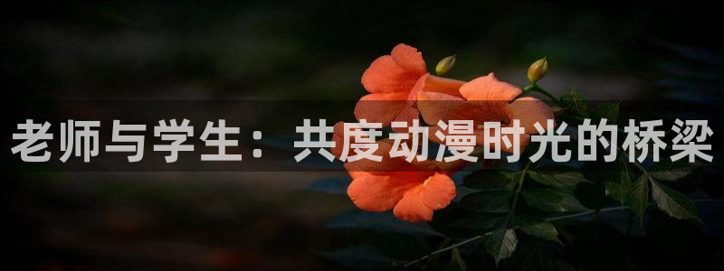 风车动漫530专注动漫的门户网站