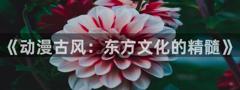 风车动漫免费看