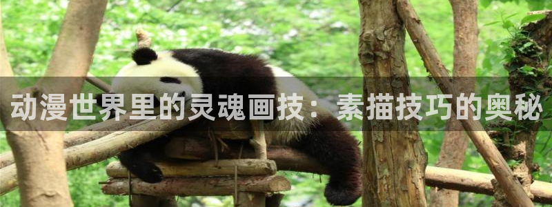 风车动漫–专注动漫