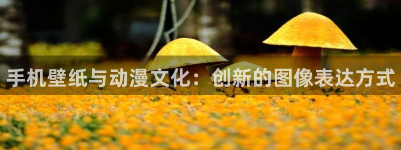 风车动漫免费漫画软件