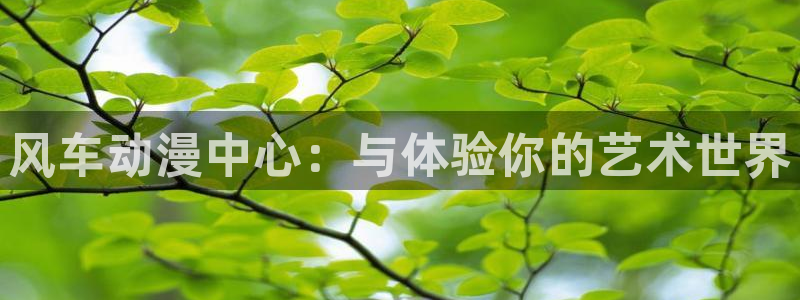 风车动漫官网官网