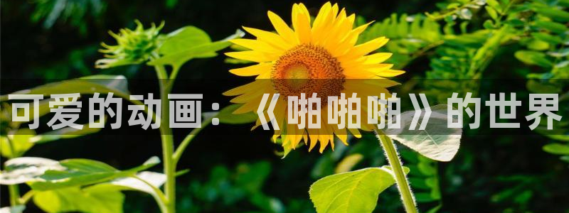 邻座的怪同学风车动漫