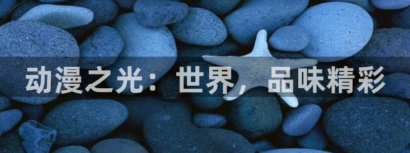 风车动漫夏日重现