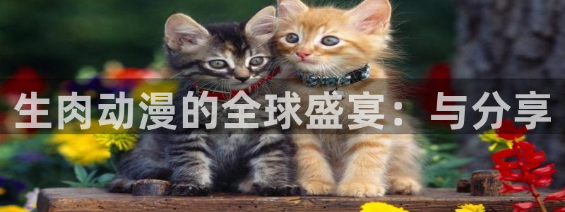 在哪下载风车动漫