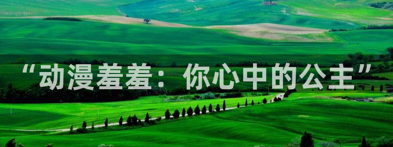 风车动漫官网官方入门网站