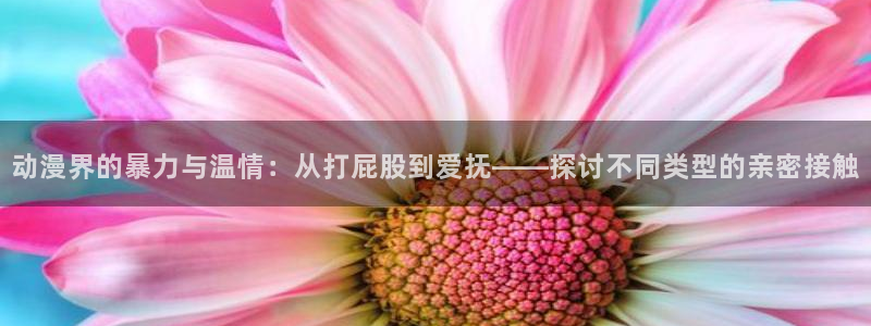 风车动漫在线看官网