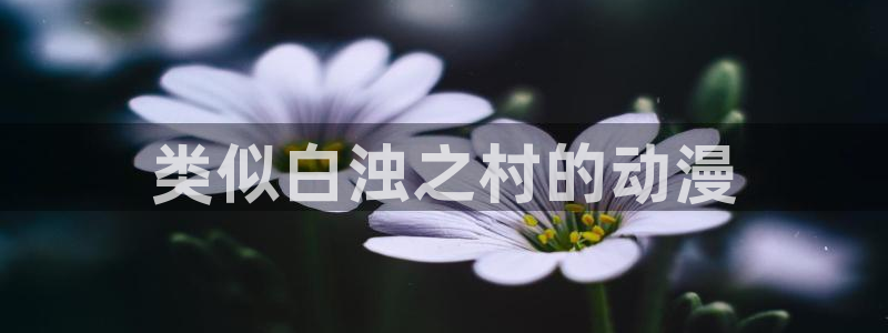 新风车动漫官网：类似白浊之村的动漫