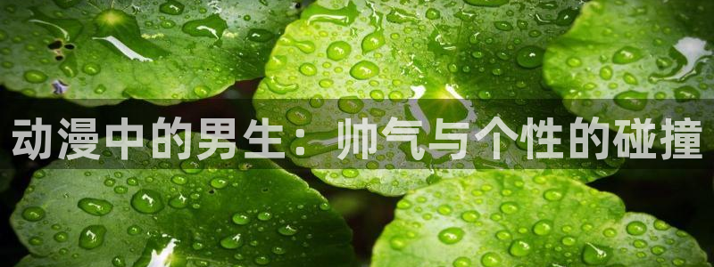 风车动漫看漫画app免费下载：动漫中的男生：帅气与个性的碰撞