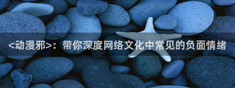 风车动漫网站