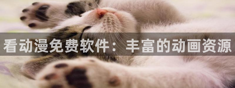 空之境界在线观看风车动漫