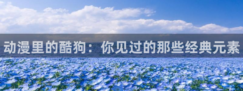 风车动漫下载最新版本