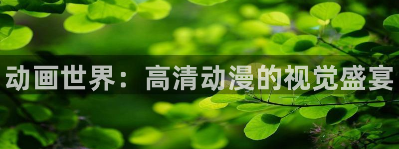 风车动漫hd