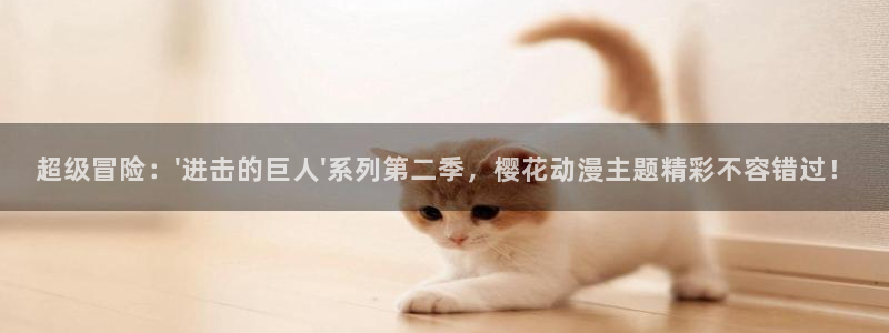 风车动漫p专注门户