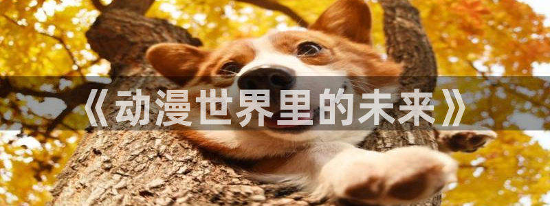 风车动漫下载在线观看