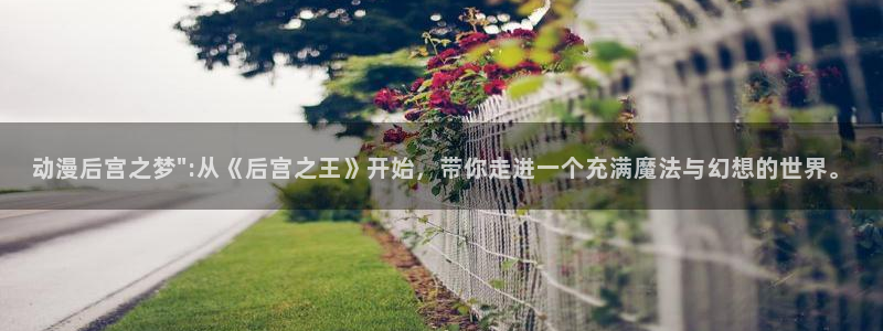 从天而降的女子风车动漫