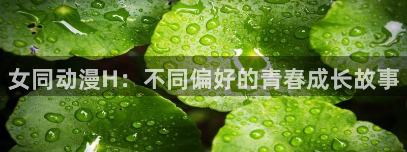 风车动漫官网地址