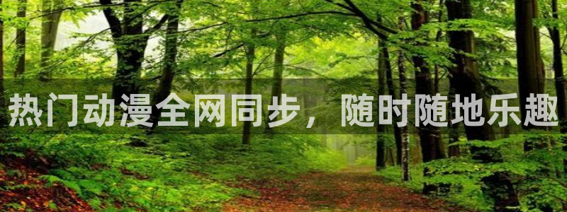 风车动漫专注动漫门户网站
