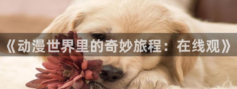 夜勤病栋风车动漫